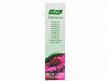 echinaforce_toothpaste