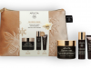 APIVITA XMAS 2025 QUEEN BEE ΚΡΕΜΑ ΠΛΟΥΣΙΑΣ ΥΦΗΣ ΑΝΤΙΓΗΡΑΝΣΗΣ 50ml & ΔΩΡΑ