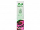 echinaforce_toothpaste